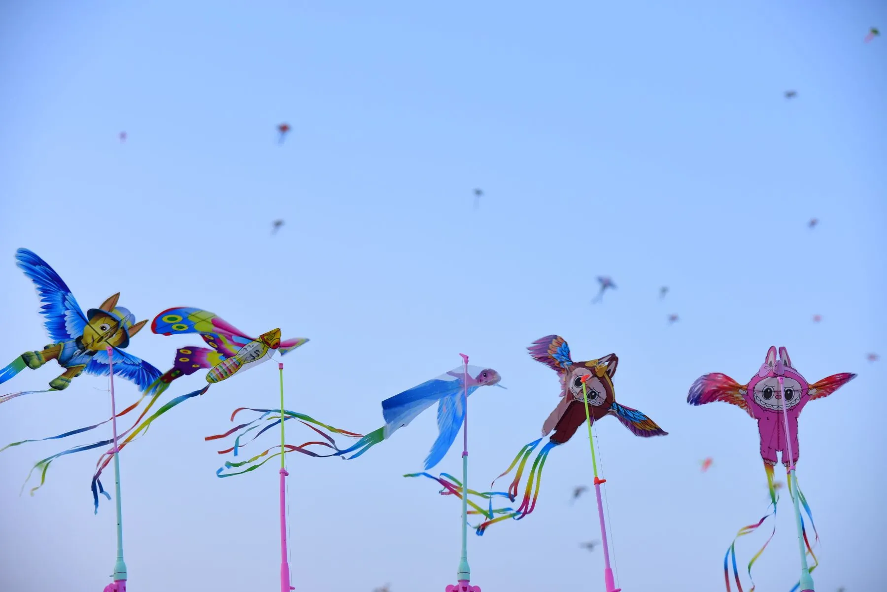 Tropical Fish and Noodle Packets Over Weifang